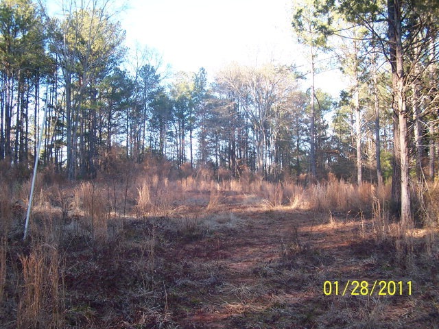 Lot 2 Pate Road, Unit 2 Juliette, GA 31046 - Photo 1 of 1 a view of a back yard of a house