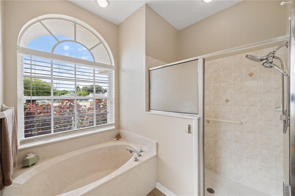 8131 Baytree Drive New Port Richey, FL 34653 - Photo 12 of 35 Garden tub with walk-in shower
