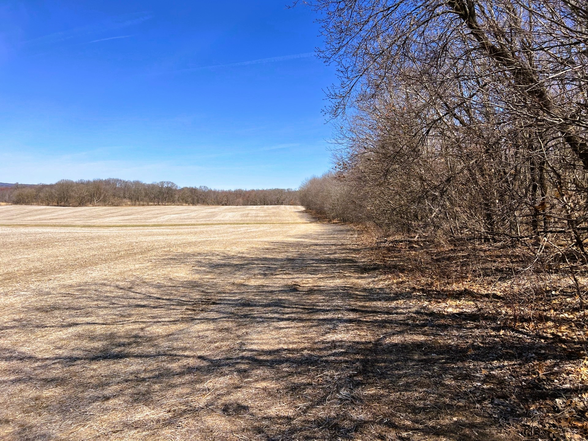 0 Pete Coulee Road Taylor, WI 54659 - Photo 23 of 49