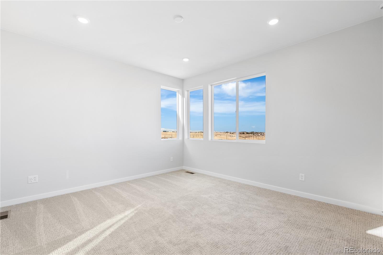 12124 Octave Avenue Lone Tree, CO 80134 - Photo 25 of 32