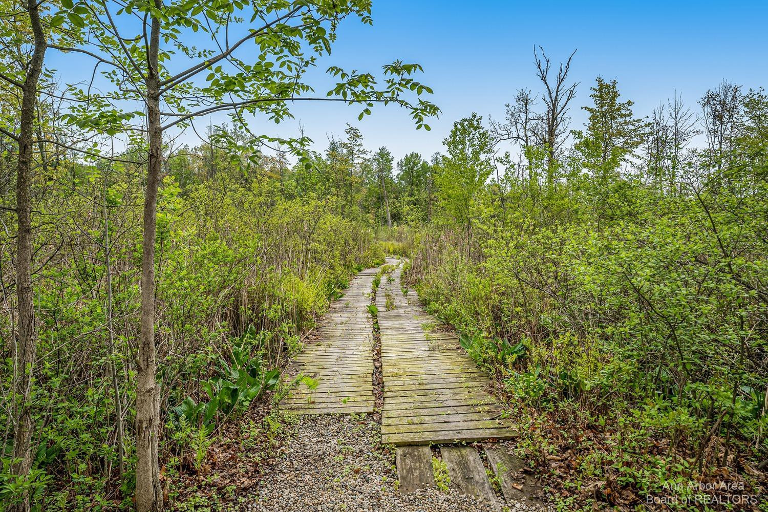 17778 Cavanaugh Lake Road Chelsea, MI 48118 - Photo 4 of 82 Photo 4