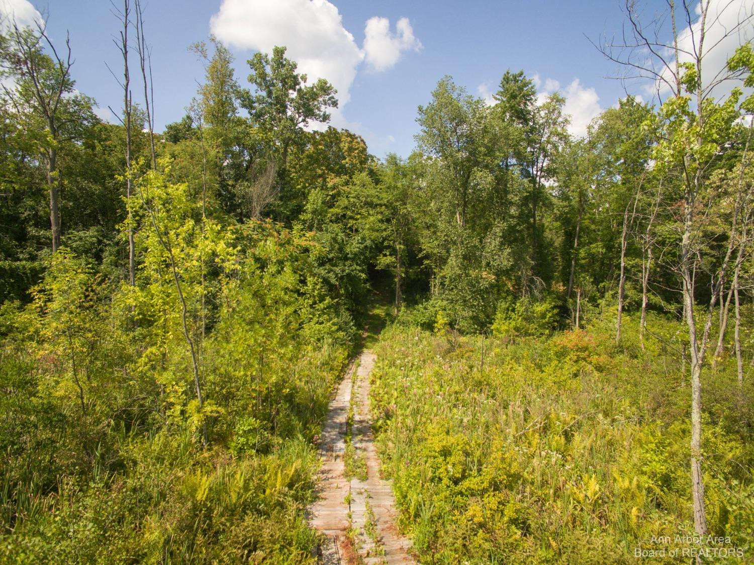 17778 Cavanaugh Lake Road Chelsea, MI 48118 - Photo 59 of 82 Photo 59