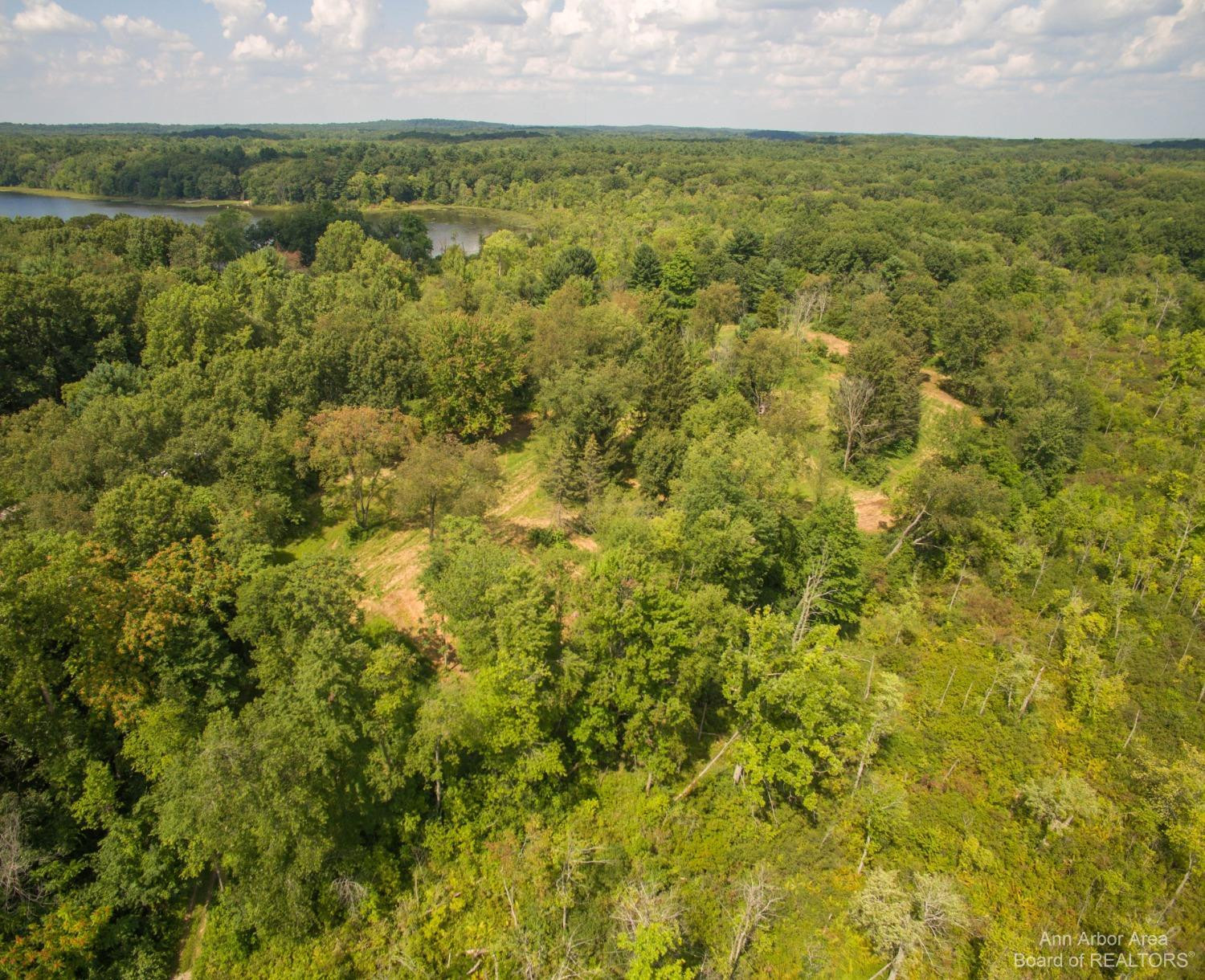 17778 Cavanaugh Lake Road Chelsea, MI 48118 - Photo 63 of 82 Photo 63