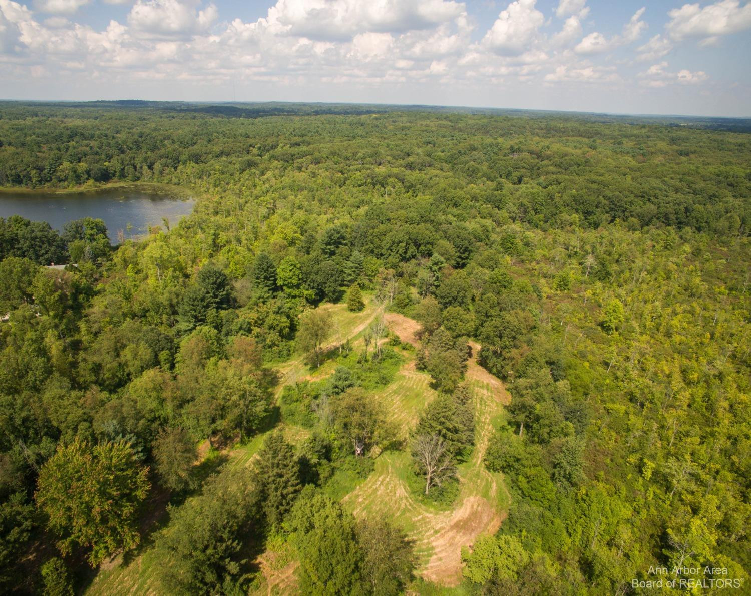 17778 Cavanaugh Lake Road Chelsea, MI 48118 - Photo 64 of 82 Photo 64