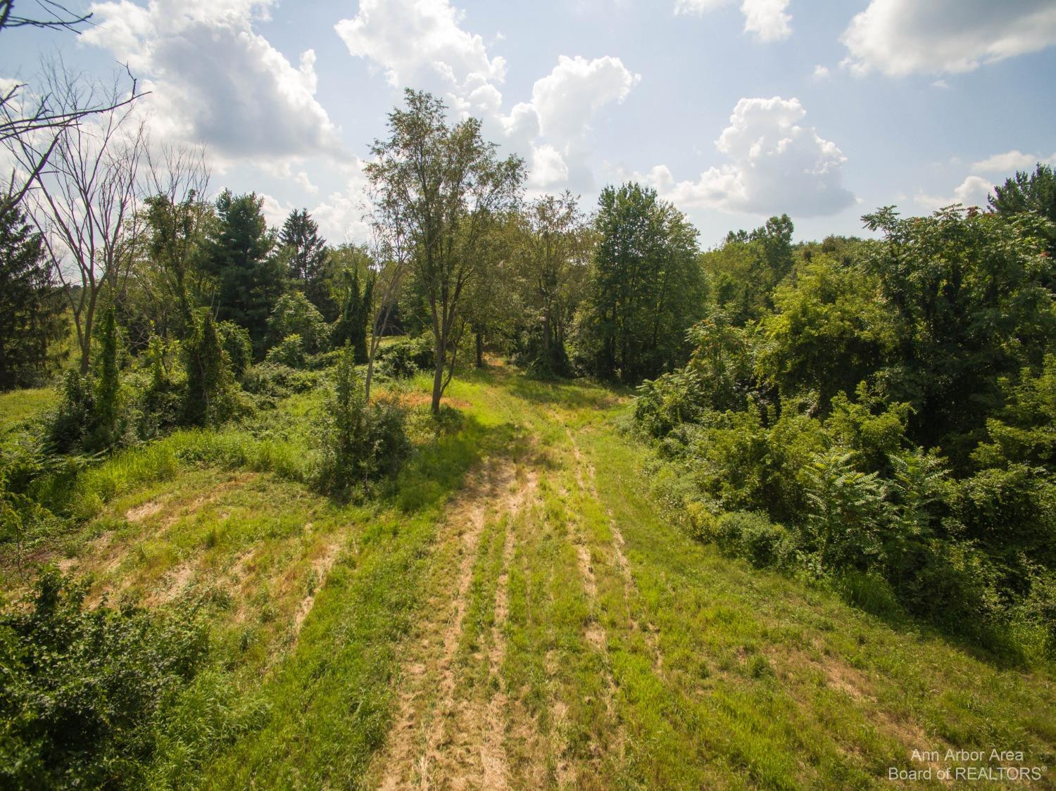17778 Cavanaugh Lake Road Chelsea, MI 48118 - Photo 65 of 82 Photo 65
