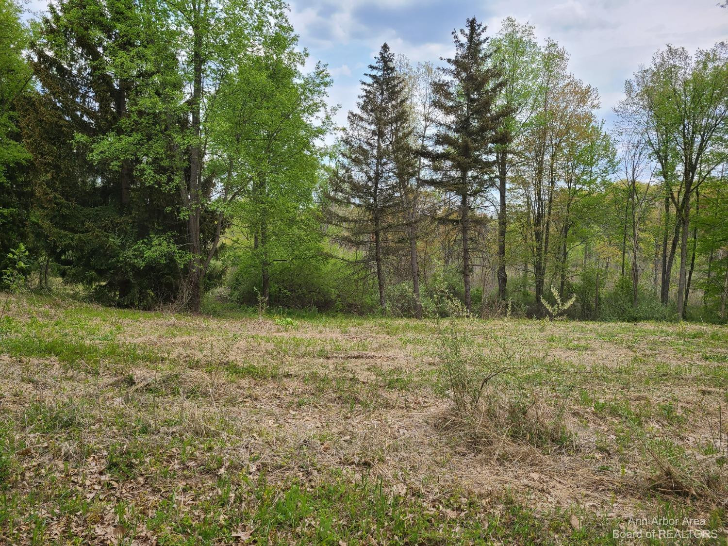 17778 Cavanaugh Lake Road Chelsea, MI 48118 - Photo 70 of 82 Photo 70