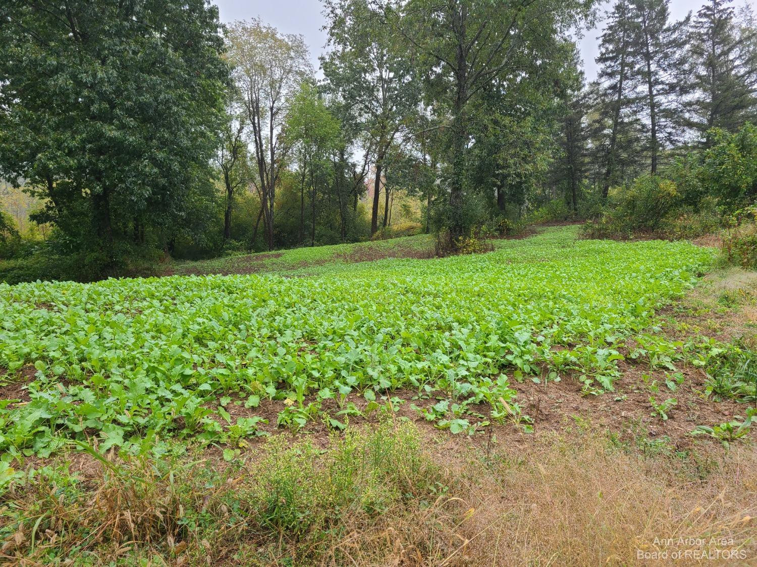 17778 Cavanaugh Lake Road Chelsea, MI 48118 - Photo 72 of 82 Photo 72