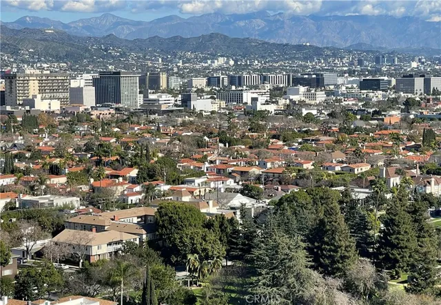 an aerial view of residential houses with city view
