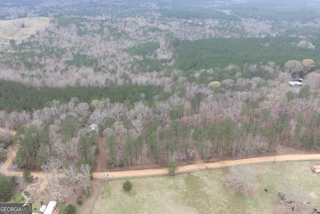 0 Otts Road Fayette, AL 35555 - Photo 10 of 17 a view of a lake from a yard