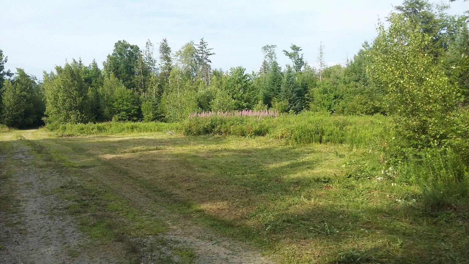Tbd West Tbd W Indian Road Lincoln, ME 04457 - Photo 2 of 18 IMG_4450