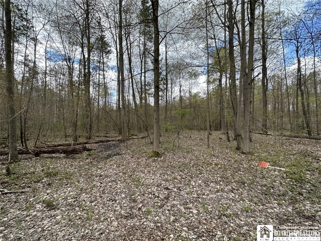 0 Walker Road Bemus Point, NY 14712 - Photo 15 of 25 Gallery Image 15