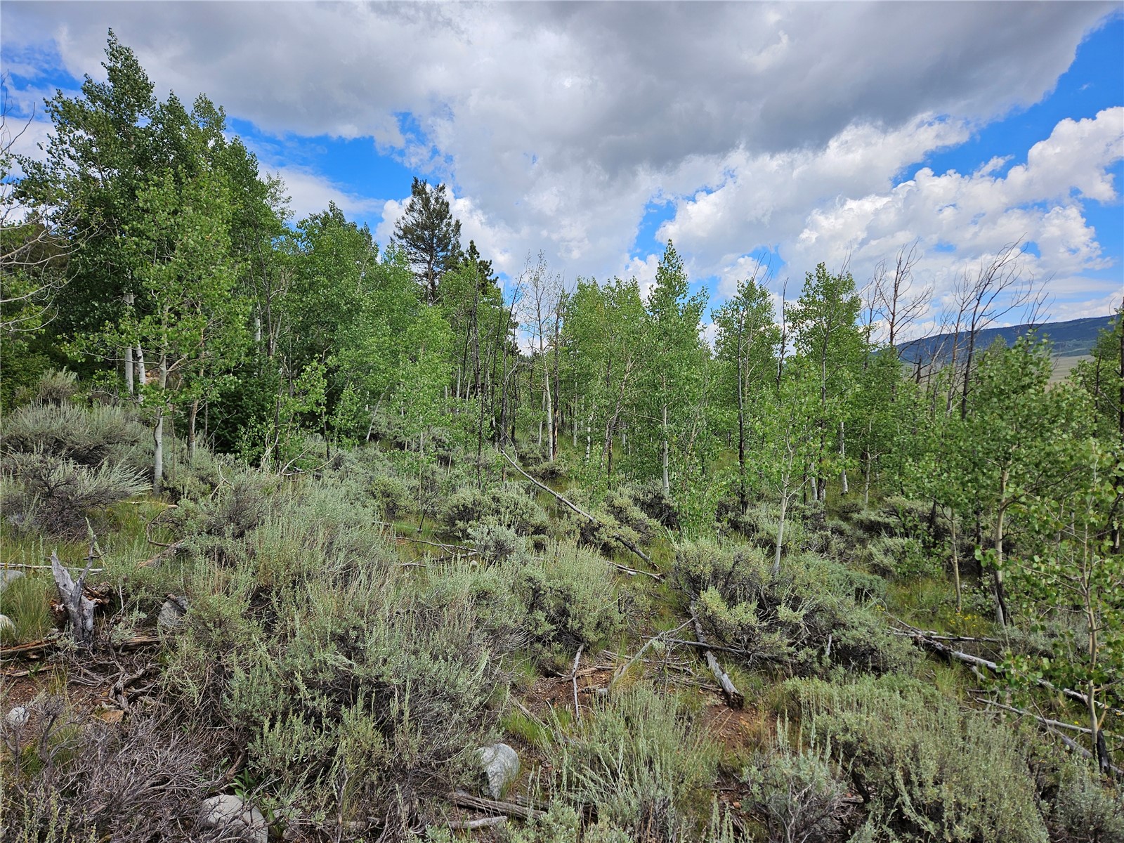 3062 Redhill Road Fairplay, CO 80440 - Photo 44 of 47 Gallery Image 44
