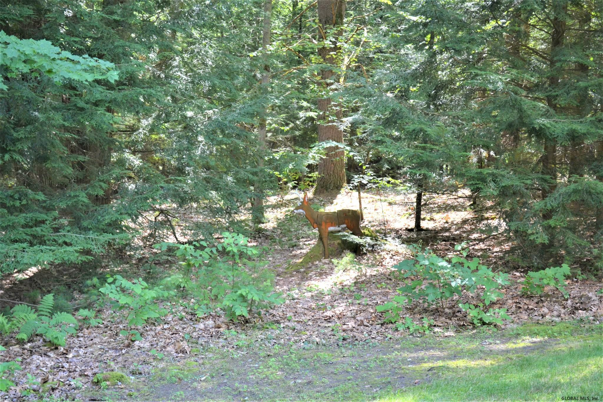 346 Flat Rock Road Lake George, NY 12845 - Photo 54 of 58 Photo 54