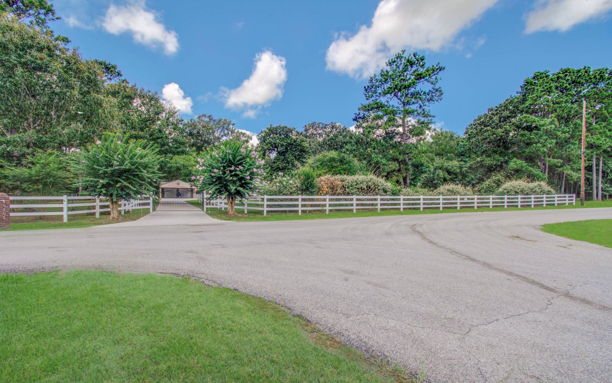 20203 Timber Ridge Drive Magnolia, TX 77355 - Photo 45 of 49 he property entrance is symmetrical, featuring ornamental flowering trees, manicured shrubs, mature pines, and dense vegetation that provide significant privacy. A brick mailbox is positioned near the driveway entrance on the left side.
