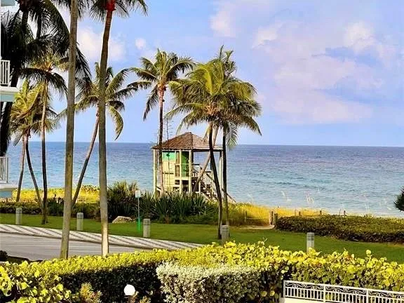 a view of a yard with palm trees