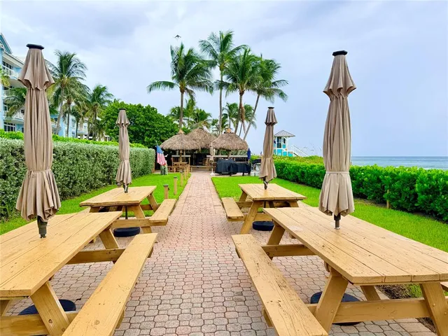 a view of a patio with couches table and chairs potted plants with palm trees