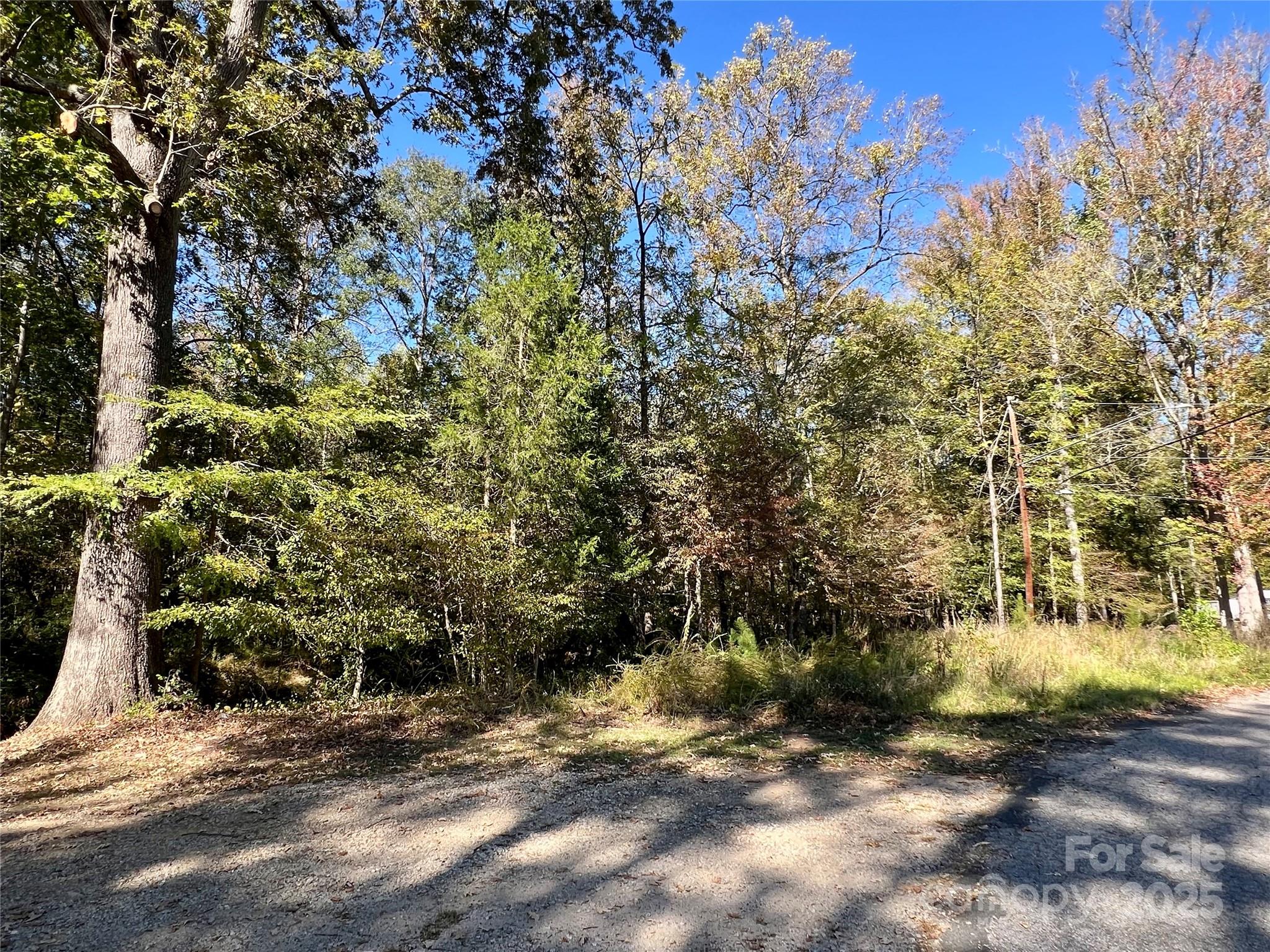 0 Riveroak Lane Lancaster, SC 29720 - Photo 22 of 22 a view of a yard with plants and trees