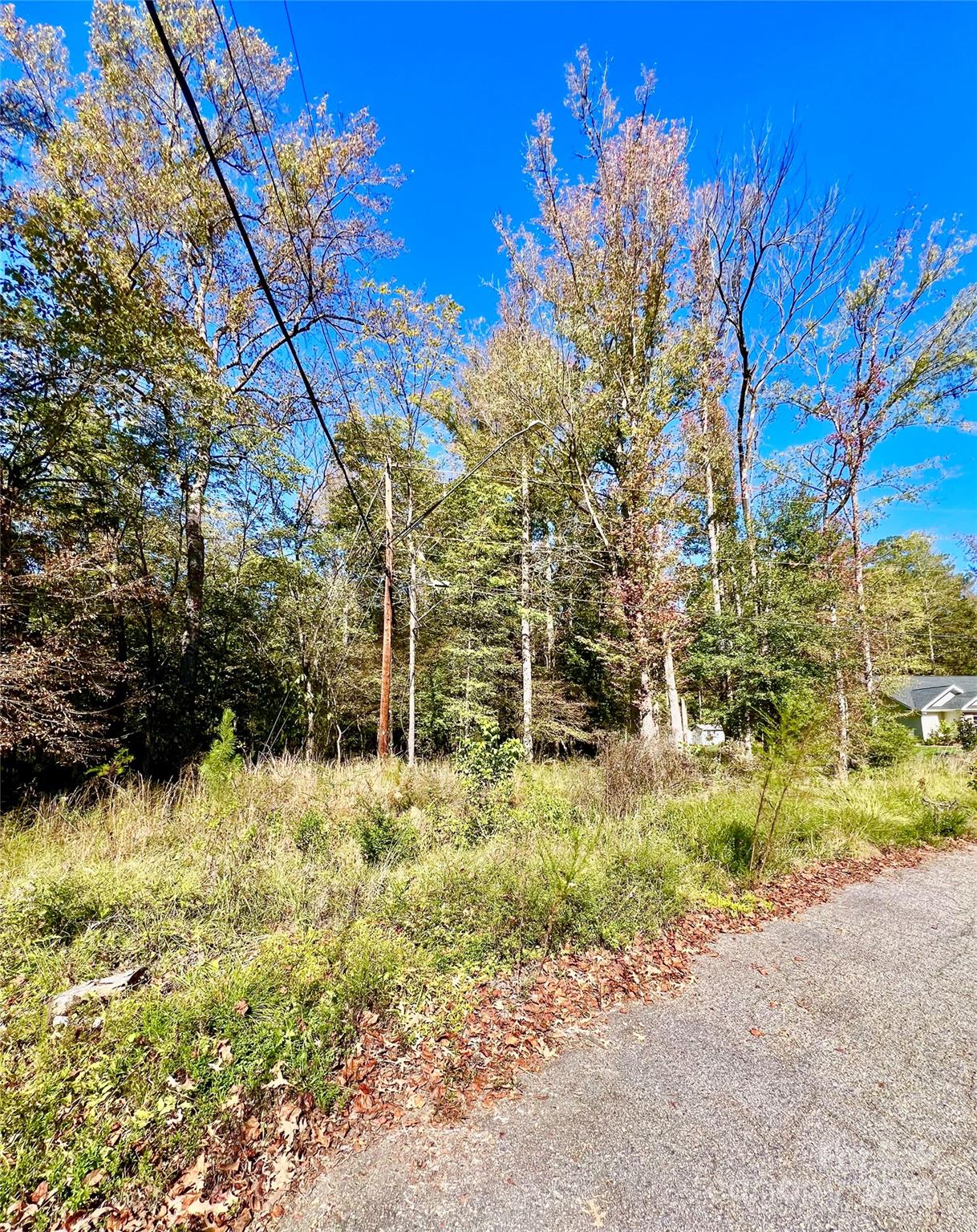 0 Riveroak Lane Lancaster, SC 29720 - Photo 3 of 22 a view of a yard with trees