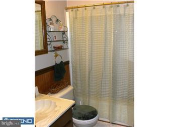 459 Fork Bridge Road Pittsgrove, NJ 08318 - Photo 10 of 12 Bathroom