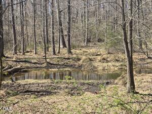 Tbd Carr Store Road Cedar Grove, NC 27231 - Photo 7 of 8 Land for sale in hillsborough nc,best re