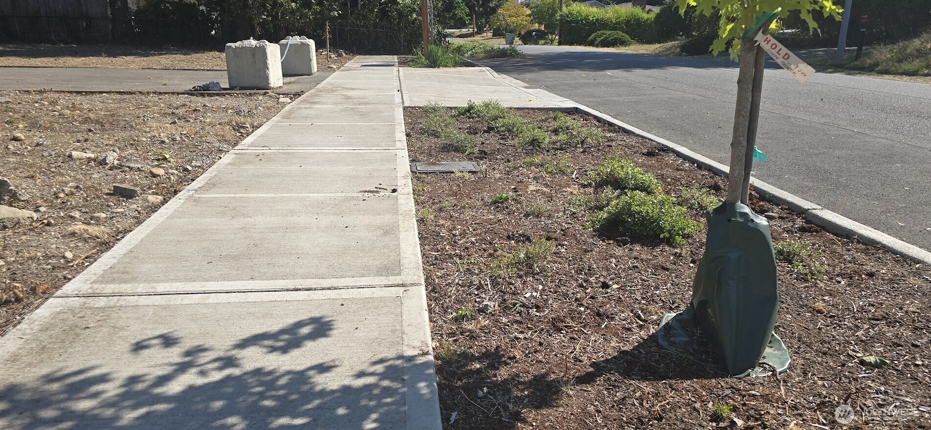 10814 Southeast 173rd Street Renton, WA 98055 - Photo 6 of 9