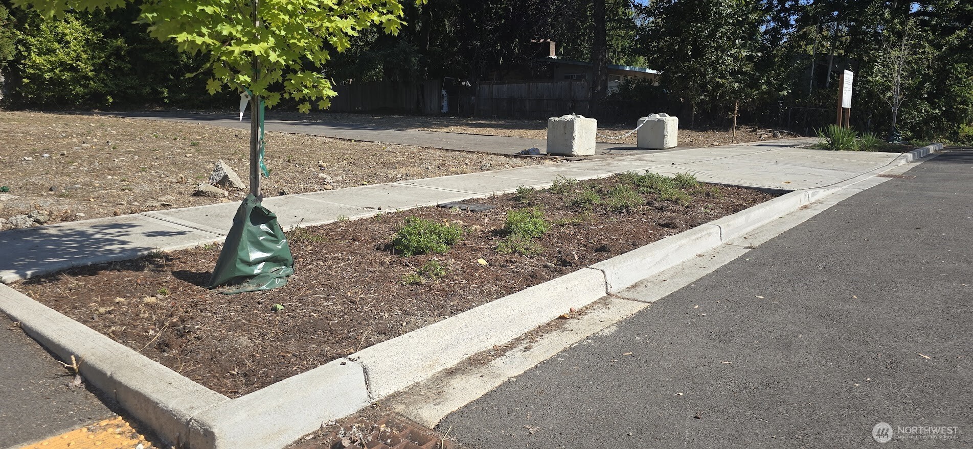 10814 Southeast 173rd Street Renton, WA 98055 - Photo 7 of 9