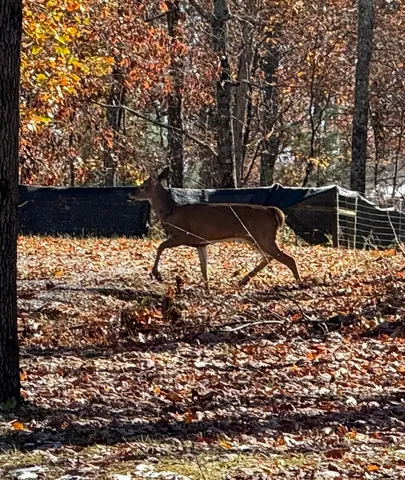 $455,000 | 77 Fawn Lane, Graysville, TN 37338