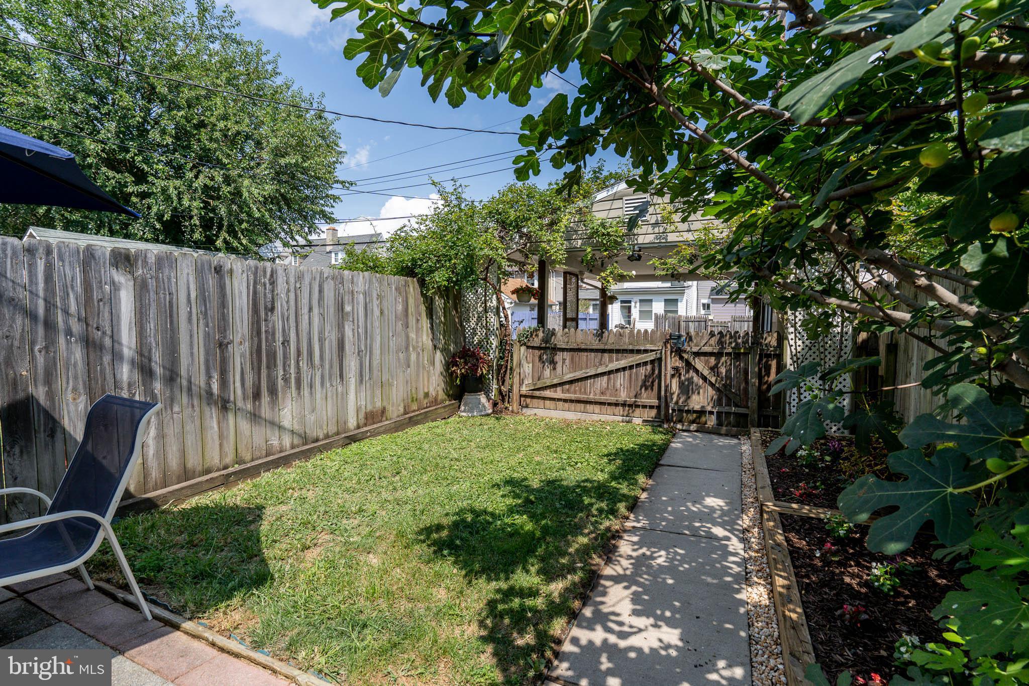 13 Flagship Road Baltimore, MD 21222 - Photo 19 of 23 Back Yard Fenced
