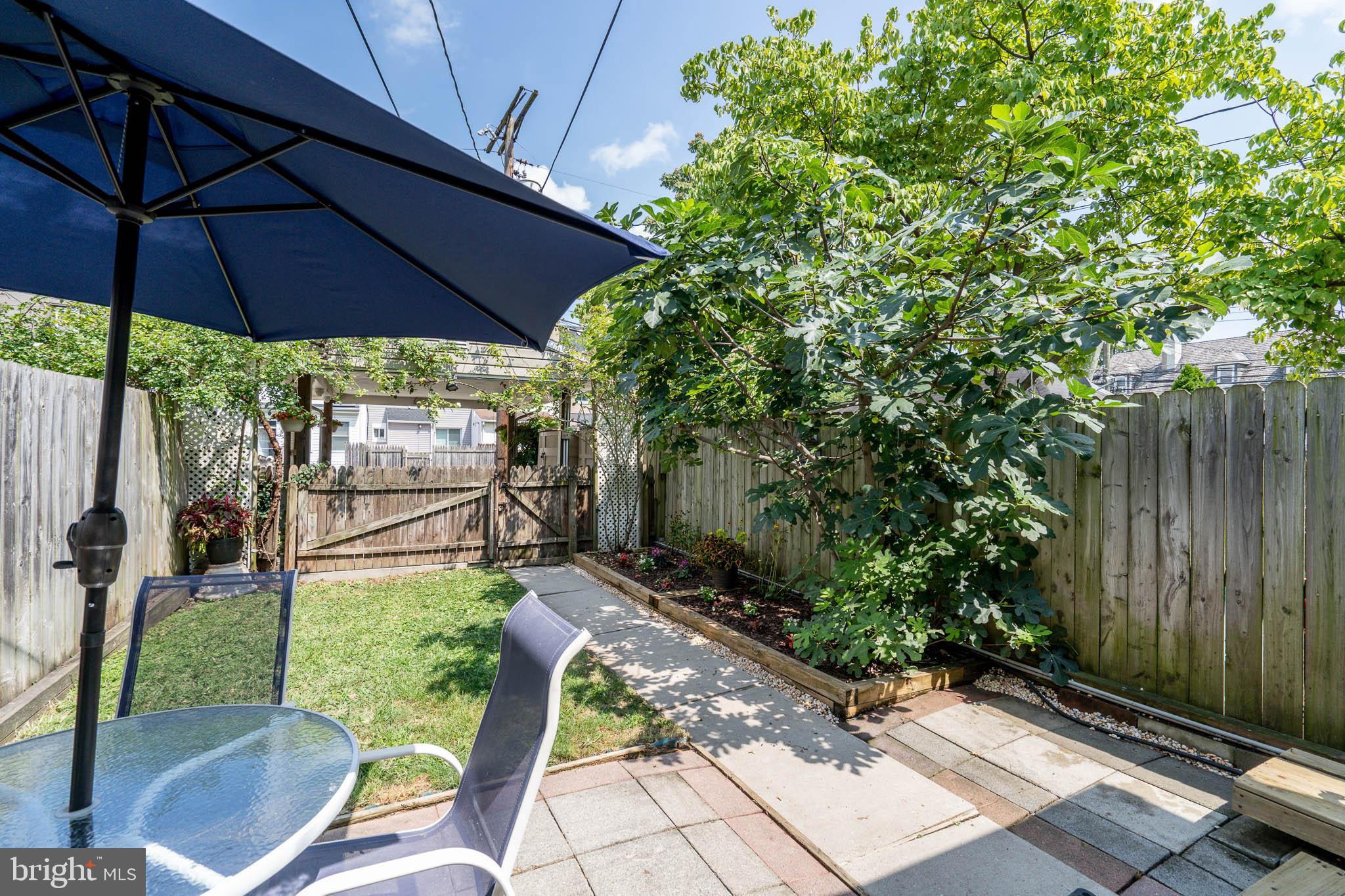 13 Flagship Road Baltimore, MD 21222 - Photo 5 of 23 Back Yard w/beautiful fig tree