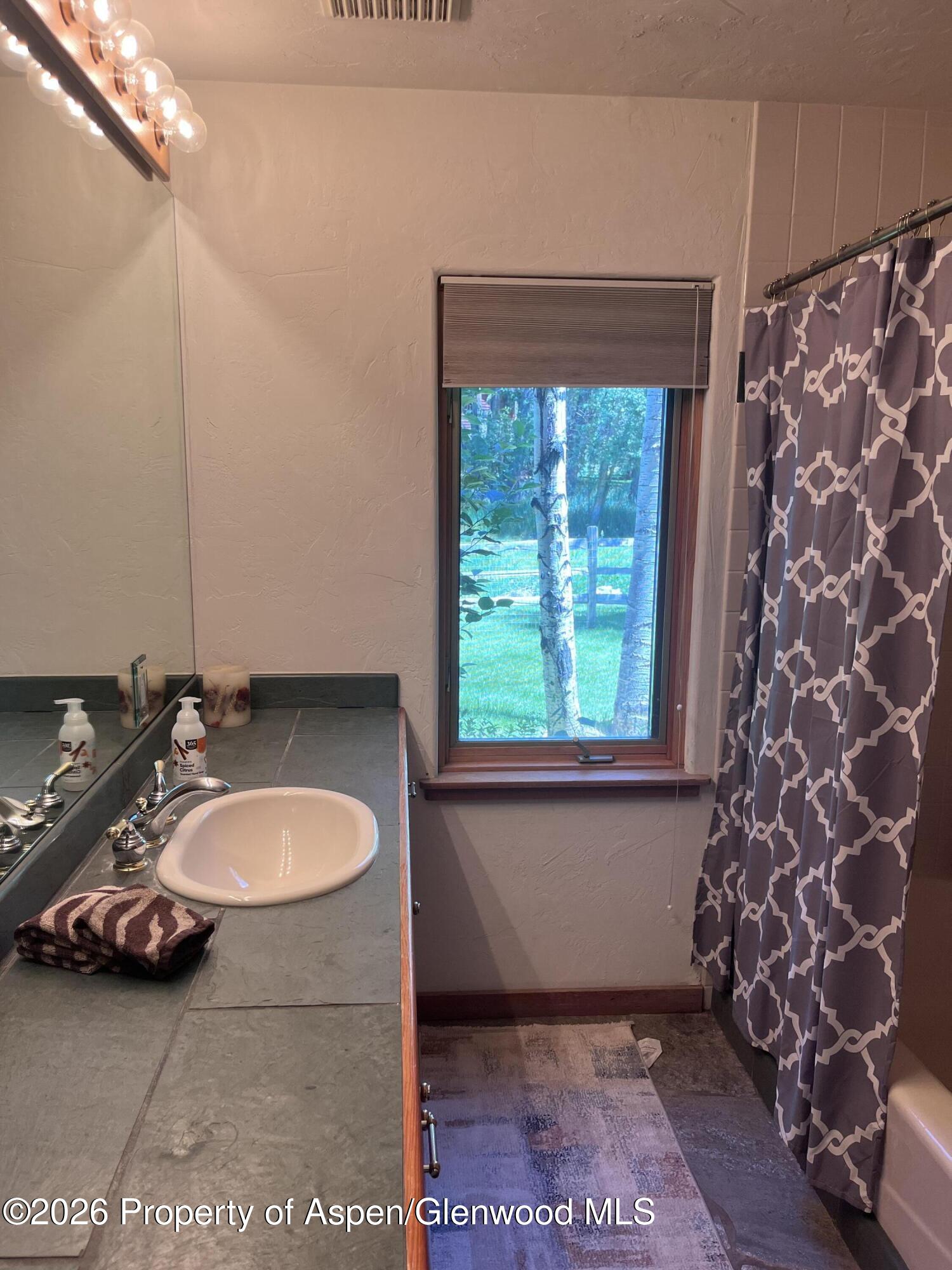 135 Lewis Lane Basalt, CO 81621 - Photo 18 of 25 downstairs shared full bathroom