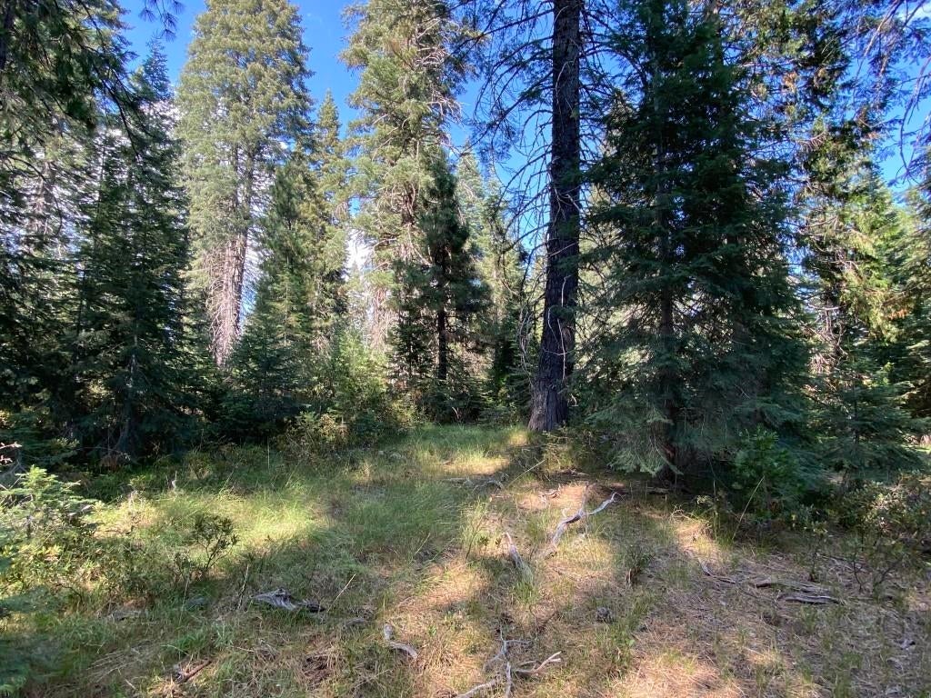 3-e-49 Red Fir Road McCloud, CA 96057 - Photo 7 of 12 Gallery Image 7