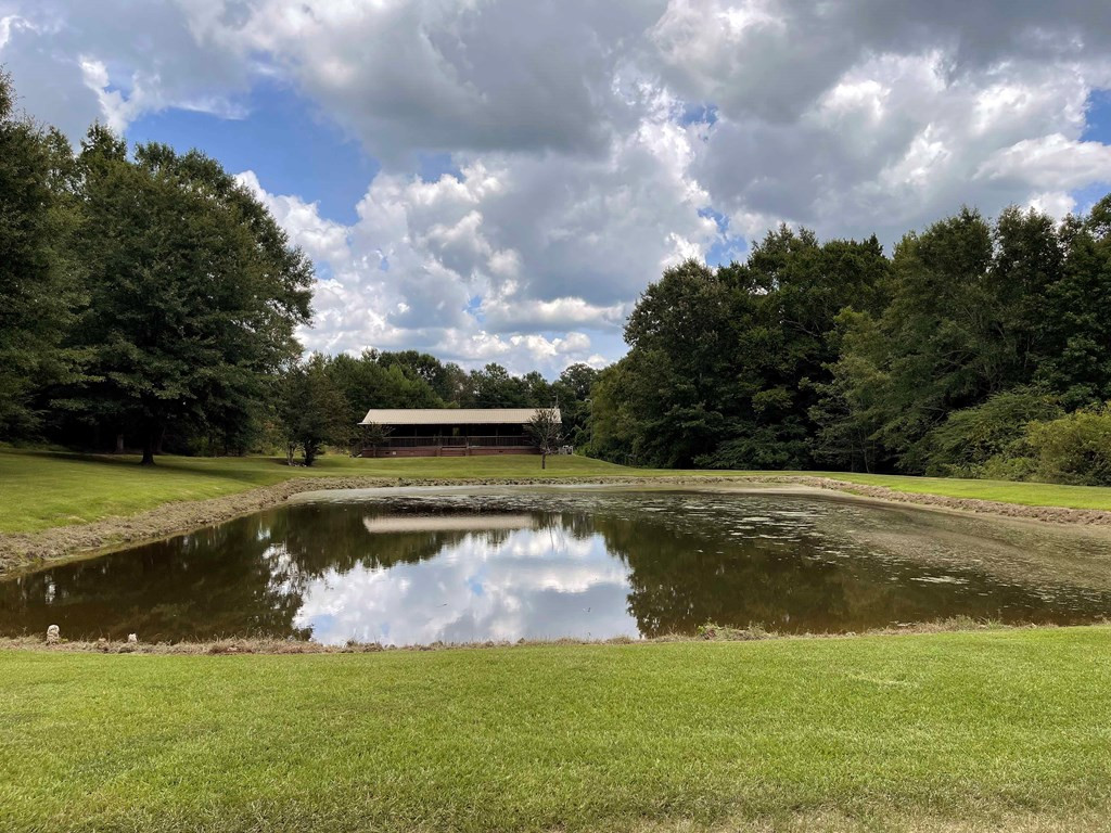 813 Mt Zion Road Northwest Wesson, MS 39191 - Photo 39 of 39 View from the road.