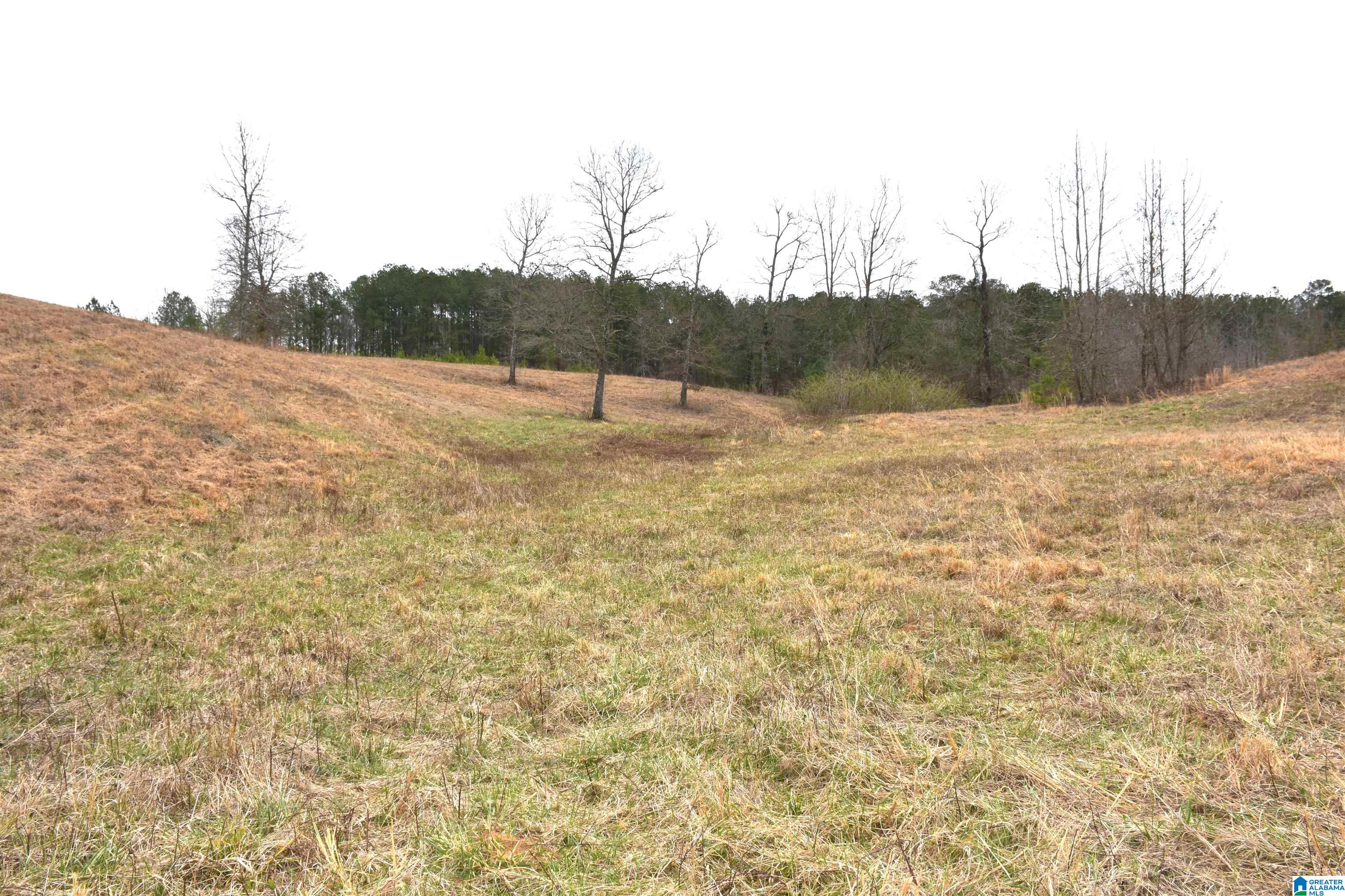 0 Grist Mill Road Alpine, AL 35014 - Photo 2 of 10
