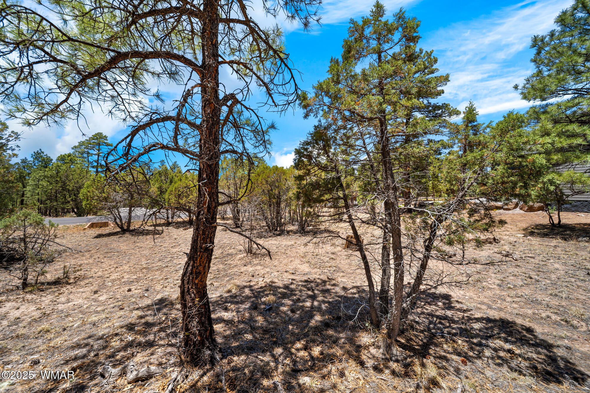 4490 West Hawthorn Road Show Low, AZ 85901 - Photo 5 of 9 Come Build Your Dream Home