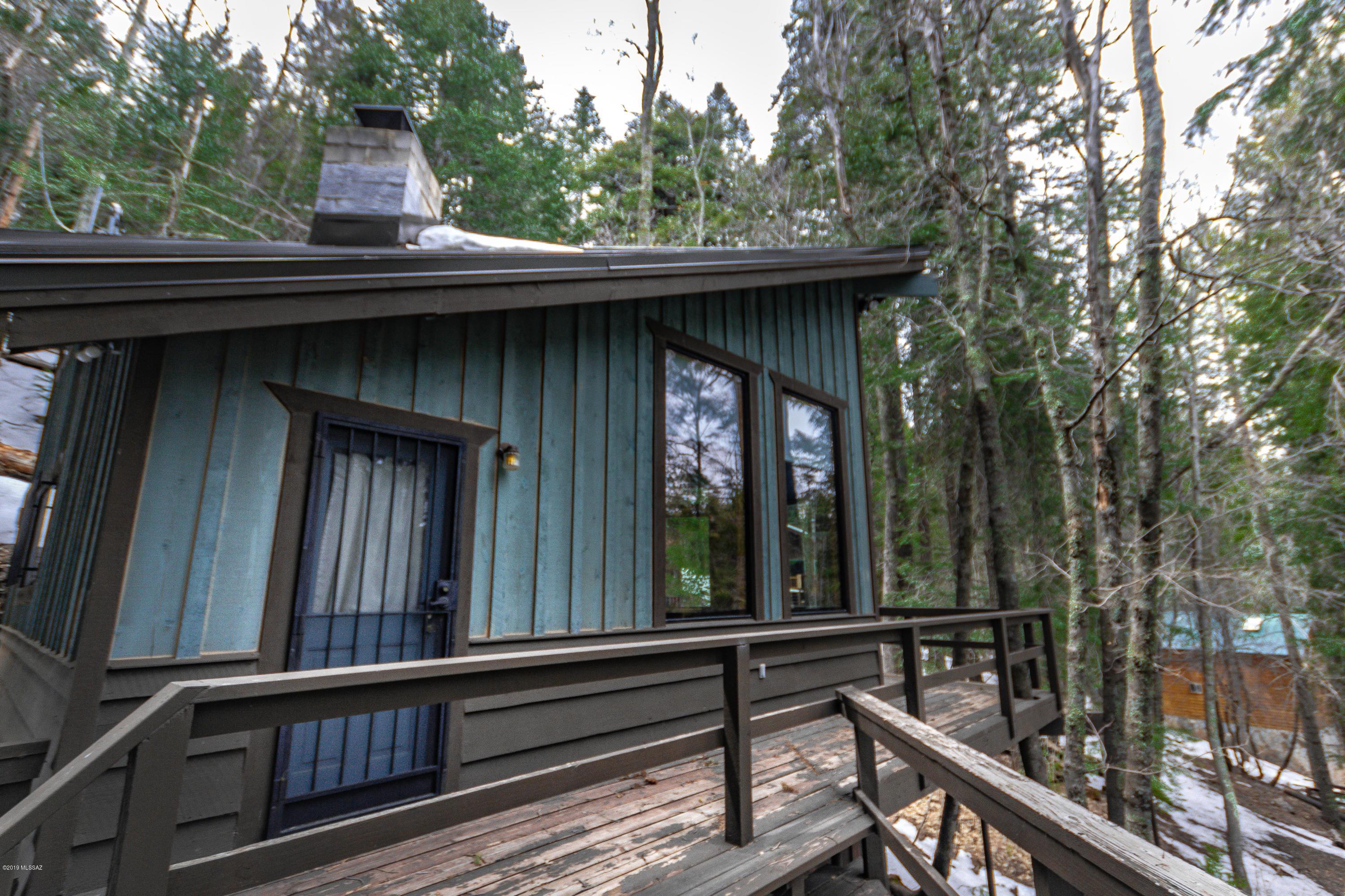 12959 Guthrie Road North Mount Lemmon, AZ 85619 - Photo 10 of 43