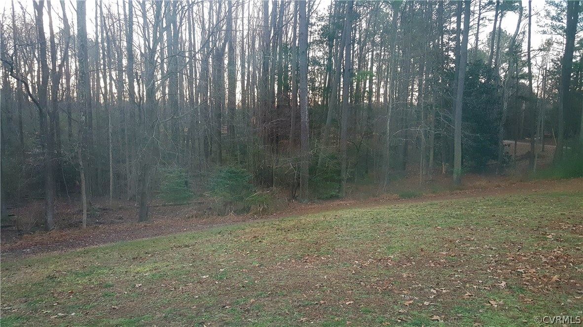 8074 Peaks Road Hanover, VA 23069 - Photo 16 of 28 a view of a forest with trees in the background