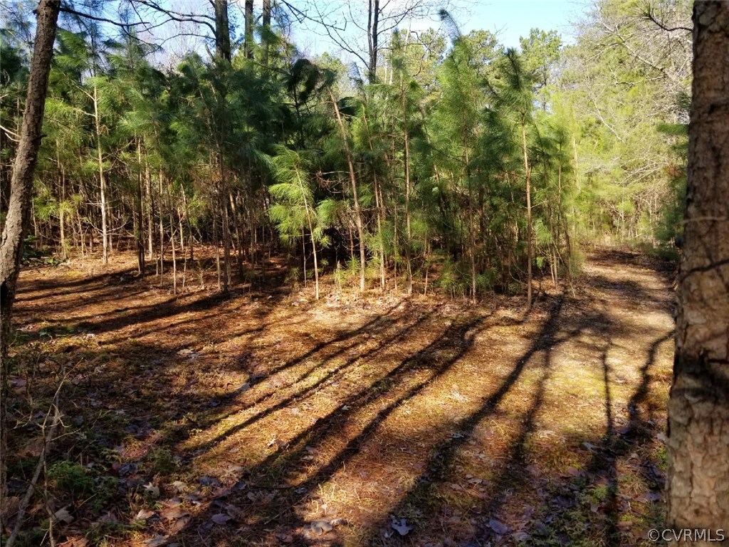 8074 Peaks Road Hanover, VA 23069 - Photo 27 of 28 a view of outdoor space with trees