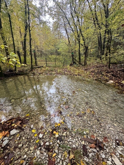 0 McBroom Branch Road Baxter, TN 38544 - Photo 1 of 31