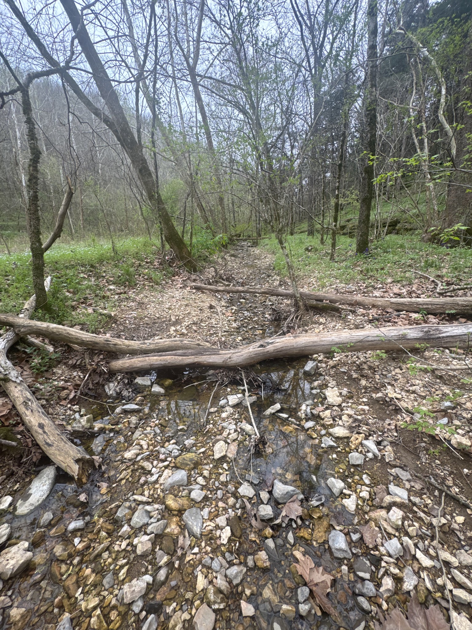 0 McBroom Branch Road Baxter, TN 38544 - Photo 11 of 31