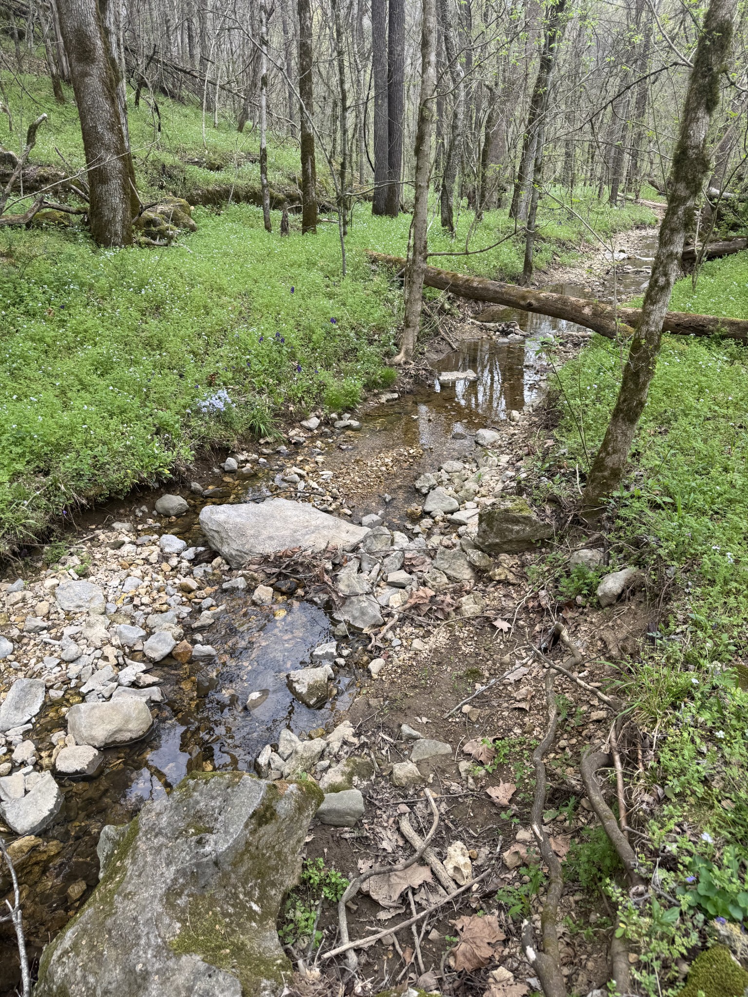 0 McBroom Branch Road Baxter, TN 38544 - Photo 14 of 31