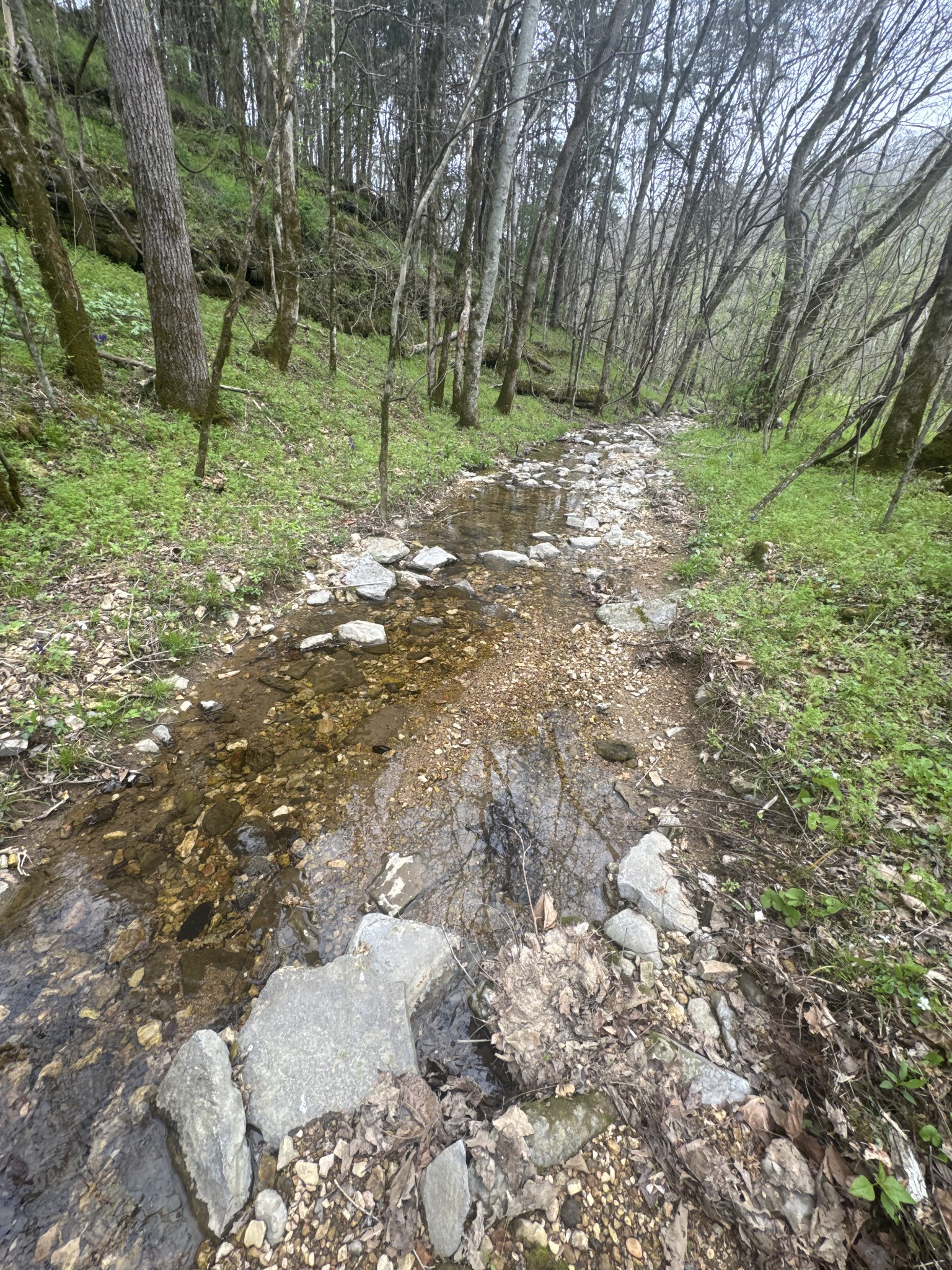 0 McBroom Branch Road Baxter, TN 38544 - Photo 16 of 31