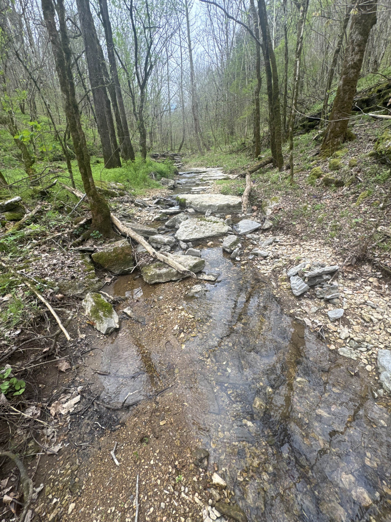 0 McBroom Branch Road Baxter, TN 38544 - Photo 17 of 31