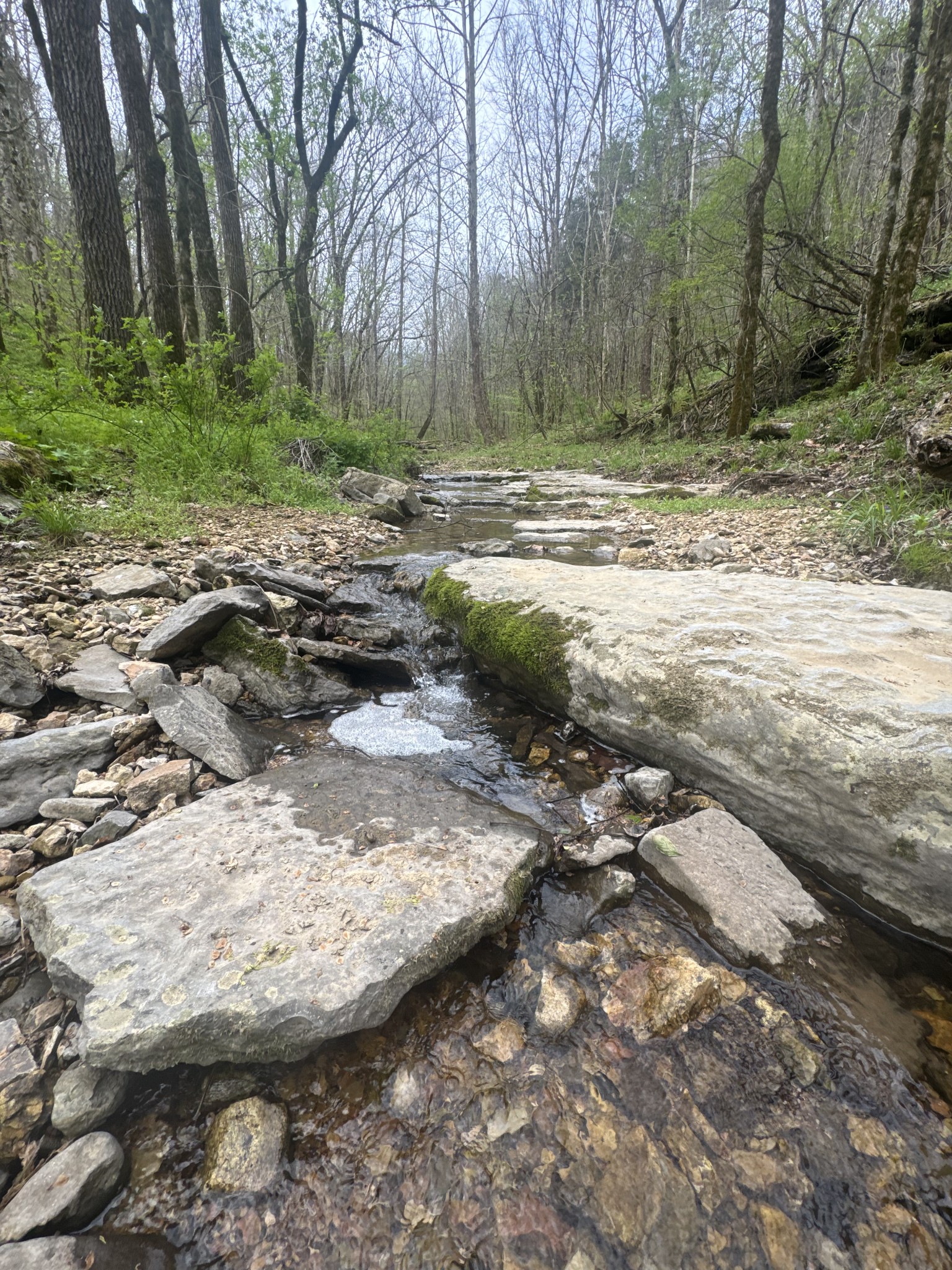 0 McBroom Branch Road Baxter, TN 38544 - Photo 18 of 31