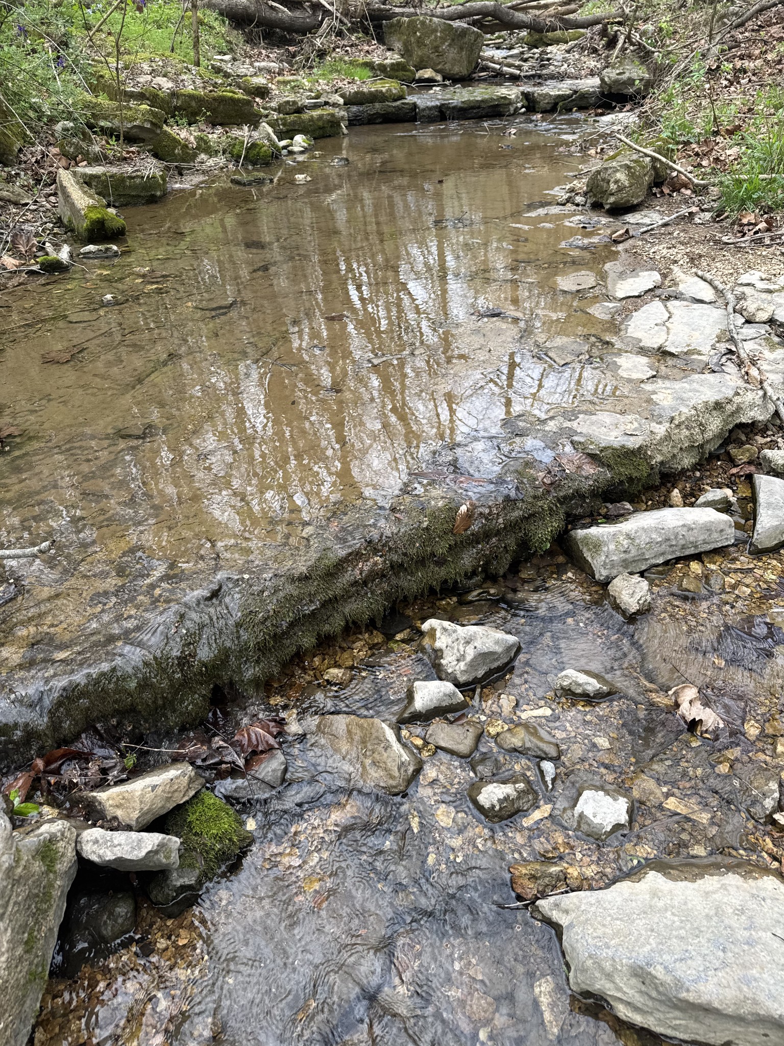 0 McBroom Branch Road Baxter, TN 38544 - Photo 20 of 31