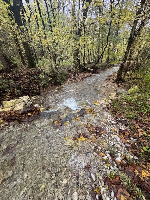 0 McBroom Branch Road Baxter, TN 38544 - Photo 2 of 31