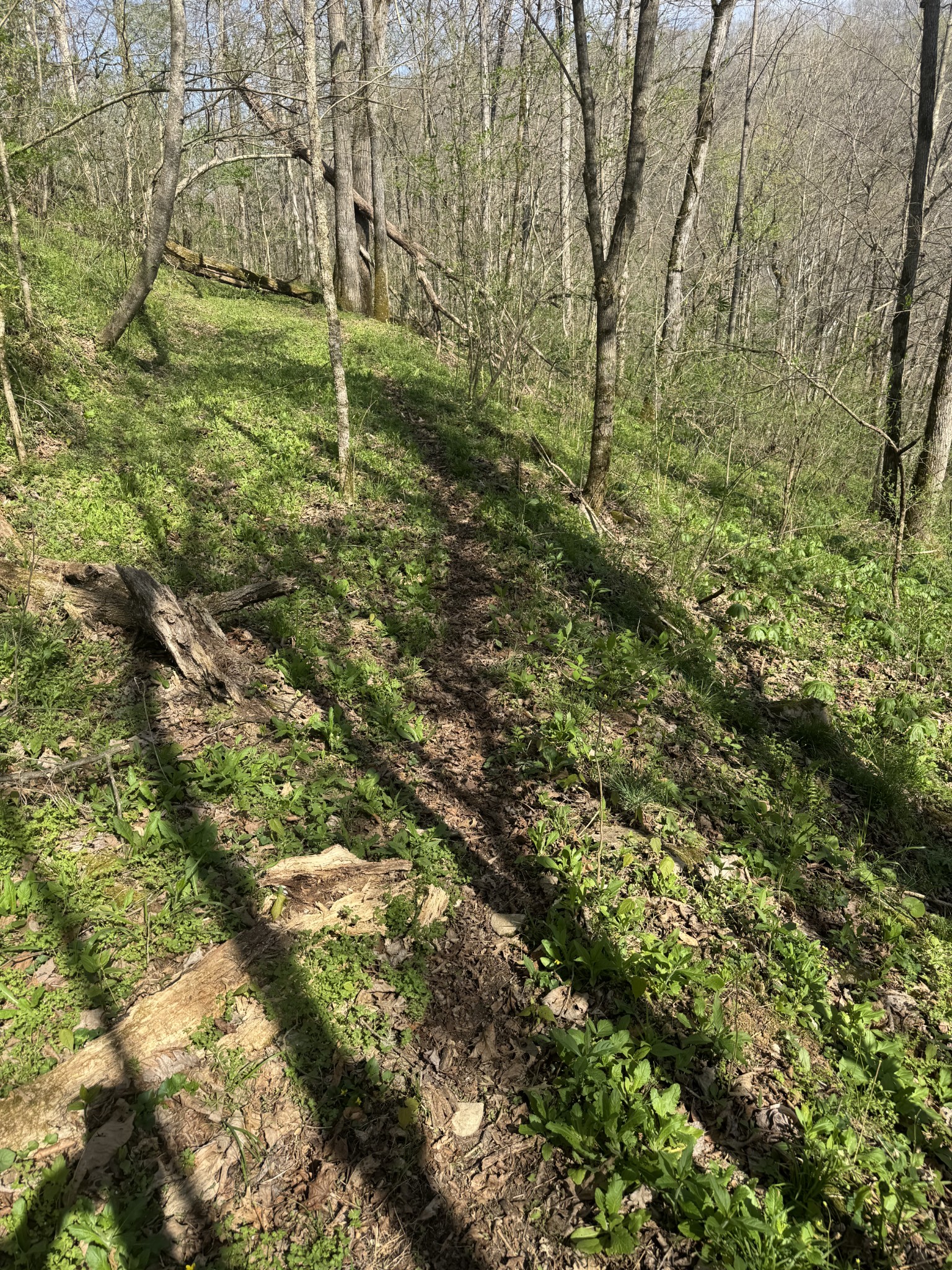 0 McBroom Branch Road Baxter, TN 38544 - Photo 28 of 31