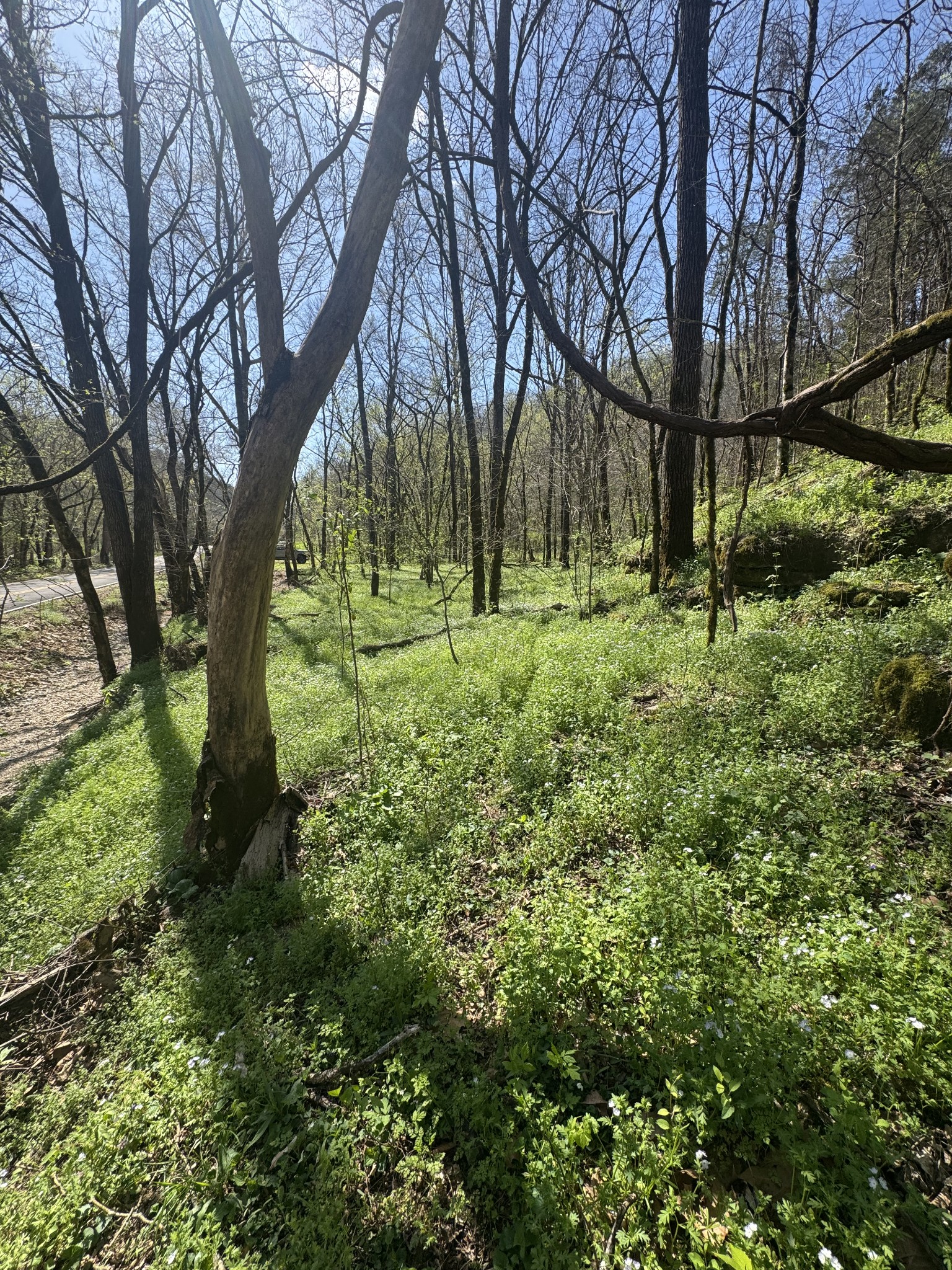 0 McBroom Branch Road Baxter, TN 38544 - Photo 29 of 31