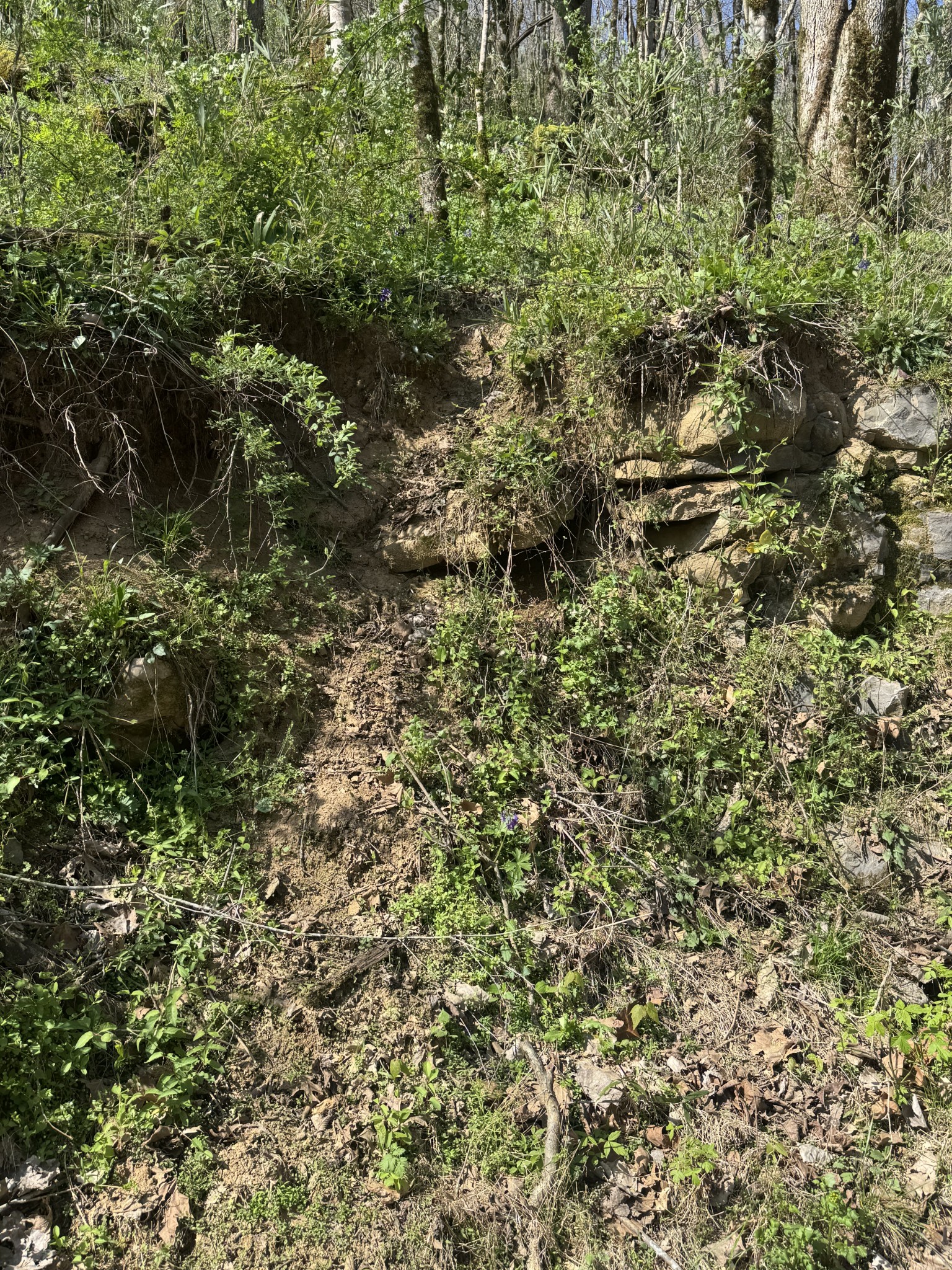 0 McBroom Branch Road Baxter, TN 38544 - Photo 30 of 31