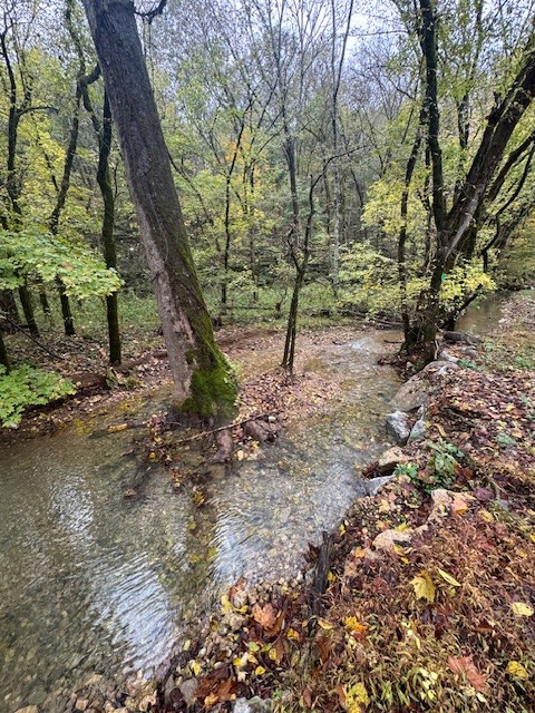 0 McBroom Branch Road Baxter, TN 38544 - Photo 3 of 31