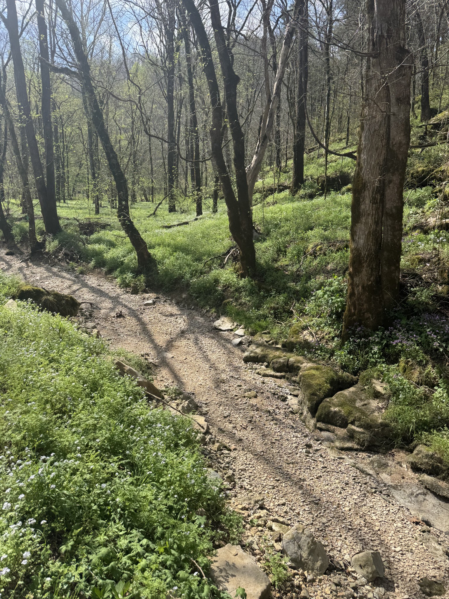 0 McBroom Branch Road Baxter, TN 38544 - Photo 31 of 31